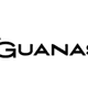 Las iguanas mtime20210129134558focalnonetmtime20210129135236